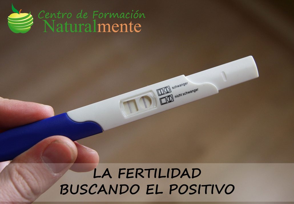 LA FERTILIDAD, BUSCANDO EL POSITIVO