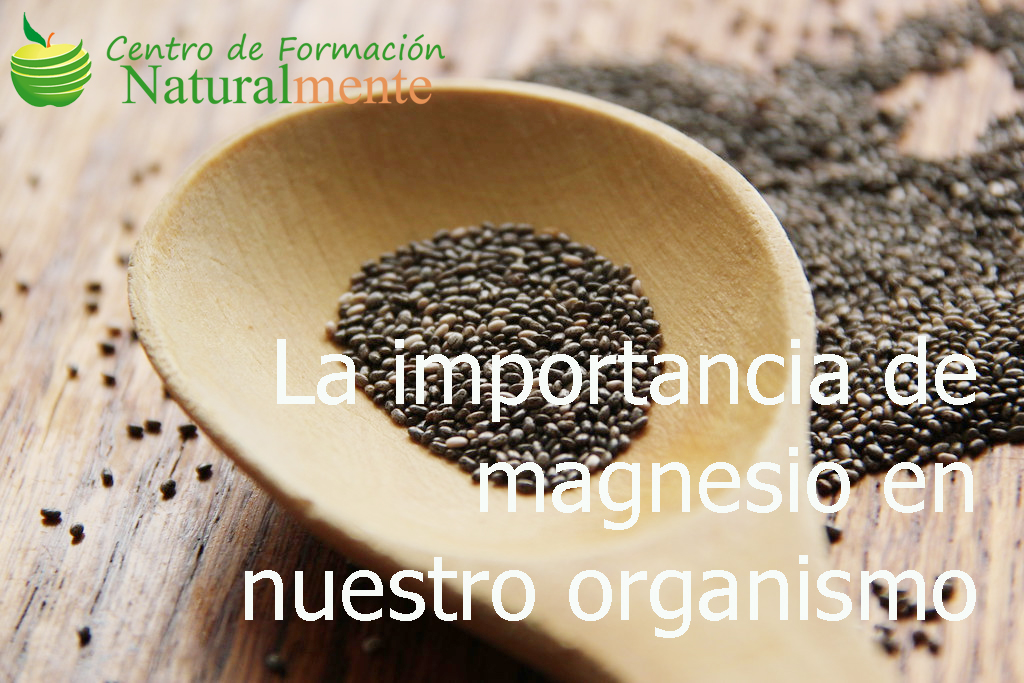 ¿Sabías de la importancia de magnesio en nuestro organismo?