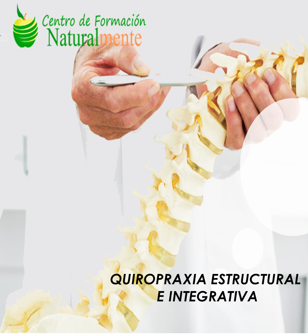 La quiropraxia y sus beneficios: una visión integral de la salud musculoesquelética